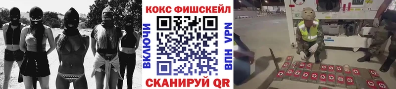 КОКАИН Fish Scale  Заринск 