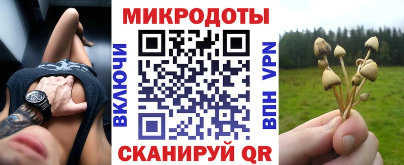 Галлюциногенные грибы GOLDEN TEACHER  МЕГА ONION  Заринск  купить  цена 