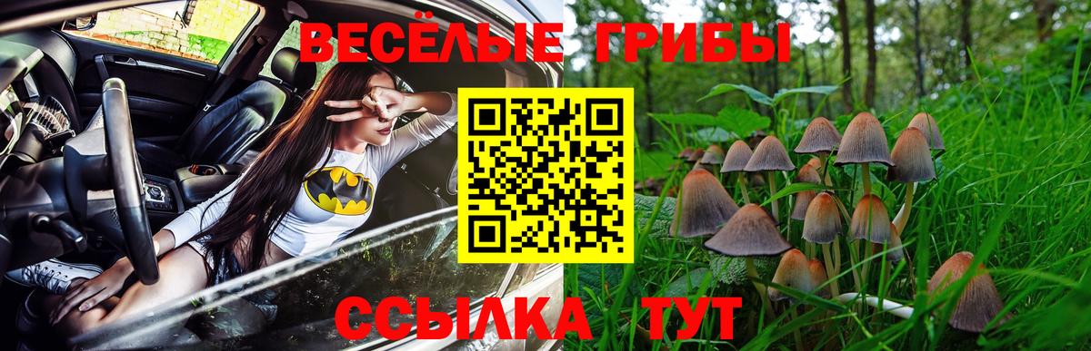 Заринск  Псилоцибиновые грибы MAGIC MUSHROOMS  Вход с VPN 