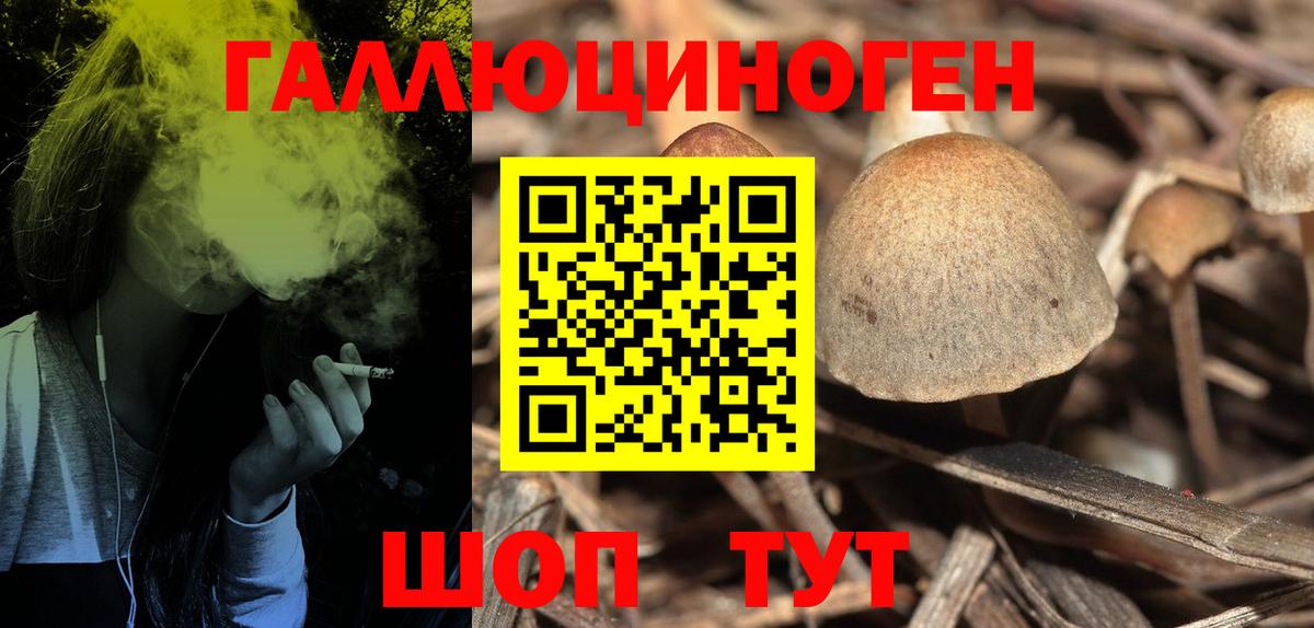 Галлюциногенные грибы мицелий Заринск