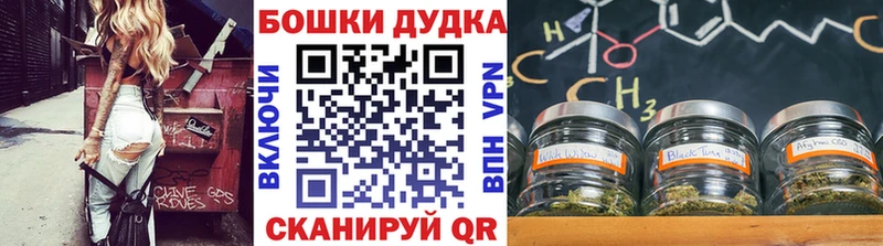 Бошки марихуана план Заринск